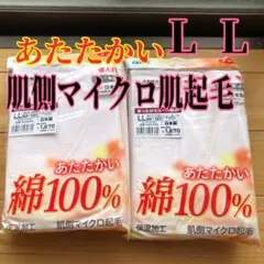 新品 グンゼ 下着 肌着 レディース 婦人 起毛スリーマー LL 2枚セット 冬