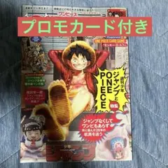 ［プロモカード付き］ワンピース・マガジンVol.20