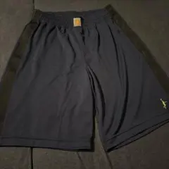 IN THE PAINT パンツXXXL