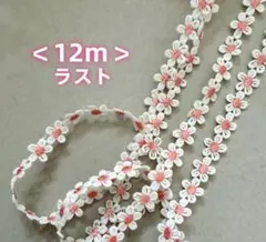 ＜ラスト＞＜12ｍ＞小花　ケミカルレース
