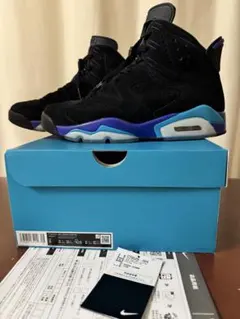 Nike Air Jordan 6 Retro aqua 27.0cm