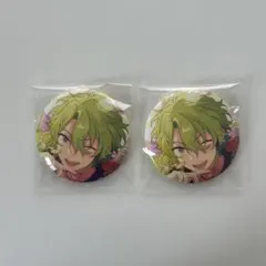 あんさんぶるスターズ 巴日和缶バッジ 2個セット