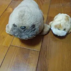 セイウチ ぬいぐるみ 親子セットのサムネイル