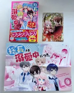 総長さま、溺愛中につき。公式ファンブック 特典カード 両面ポスター