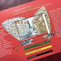 77331セール現品限　外国切手　オランダ発行蝶小型シート