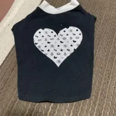 Item thumbnail for item 362c5670-16eb-4458-8150-e0b5e456b258