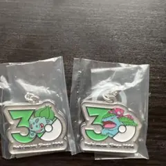 ポケモン 30周年メタルチャームマスコット
