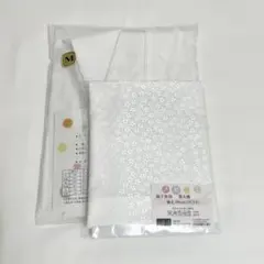 Item thumbnail for item 900ad2fa-a045-41f4-b01a-d4206537b6bb