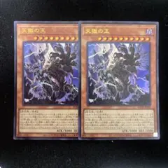 天獄の王　管理番号b