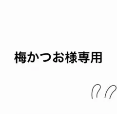 10cm ENHYPEN ソヌ SUNOO ぬいぐるみ本体㉔