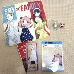 ＳＰＹ×ＦＡＭＩＬＹ まとめ売り 【バラ売り可⭕️】