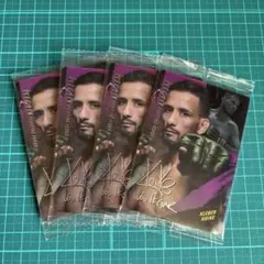 Item thumbnail for item 8286a8f9-6385-497f-89f7-682943e5fd29