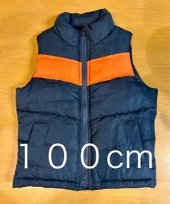 ダウンベスト 100