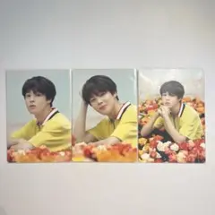 BTS ジミン ミニフォト