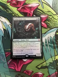 MTG アナグマモグラの仔 Badgermole Cub 英語 foil