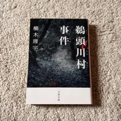 鵜頭川村事件 櫛木理宇