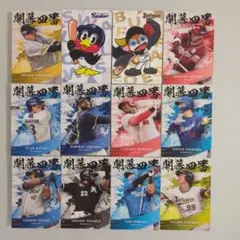 プロ野球チップス2025カードまとめ売り