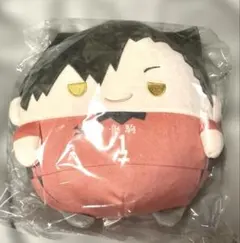 黒尾鉄朗　ハイキュー　ぬいくじ　ふわコロりん　C賞　くじメイト