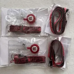 北海道コンサドーレ札幌 応援グッズ 4点セット