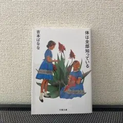 Item thumbnail for item 08255681-7fb3-470c-b16c-51763ef1d31b