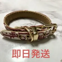 犬 首輪 小型犬