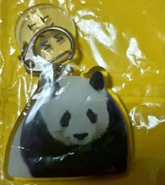 2026年最新】上野動物園 キーホルダーの人気アイテム - メルカリ