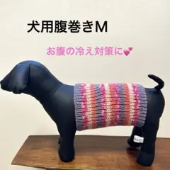 犬用腹巻き Ｍ　H617