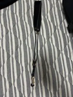 Item thumbnail for item a60e4af9-520f-44e7-9ea7-6121ba7a5d62