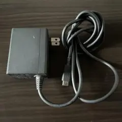 Nintendo Switch ACアダプター USB接続