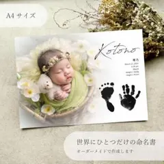 もも様専用　オプションなし　3枚