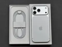 Apple iPhone 17 ProMax 256GB シルバー SIMフリー