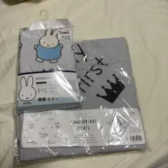 Item thumbnail for item c4b828f0-d015-4354-9670-de518747ff09