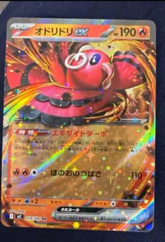 ポケモンカードゲーム オドリドリex RR