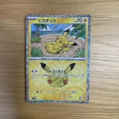 ピカチュウ 股間ホロ
