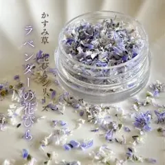 かすみ草　ラベンダー　花びら　フレーク　花びらフレーク　レジン　ドライフラワー