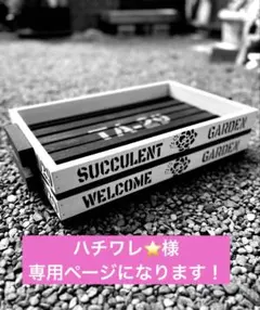 ハチワレ⭐様専用ページNo.2