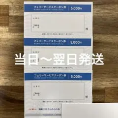 商船三井さんふらわあ フェリーサービスクーポン券 5000円×3枚のサムネイル