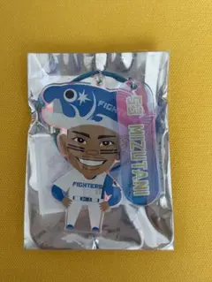 ファイターズキーホルダー　水谷瞬のサムネイル