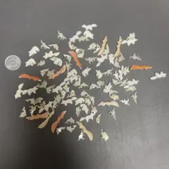 Item thumbnail for item 178dd910-81a8-4cb1-80ae-6d6111c1085e