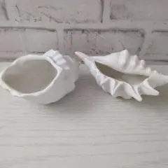 ミニ植木鉢　貝殻植木鉢　オブジェ