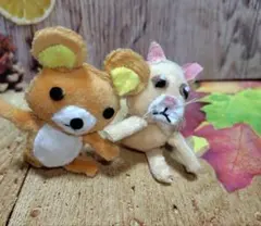 ☆彡　様　専用です