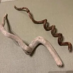 Item thumbnail for item 5280d93f-12ec-4f86-8d42-9bd588b7cca6