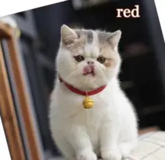 首輪 ペット 猫 鈴 小型犬 子猫 赤ベルト シルプル 長さ調整可 プレゼントのサムネイル