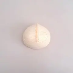 アイシードール頭皮✰いがぐり頭