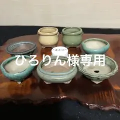 小品盆栽　山野草　サボテン鉢 7個セット 陶翠鉢