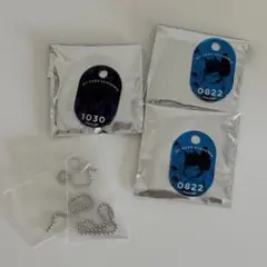 Item thumbnail for item 740b0400-0525-49fb-98e8-e7f67c9380a2