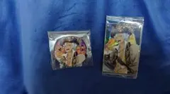 ツイステ スケアリーモンスターズ 缶バッジ カード ジャック