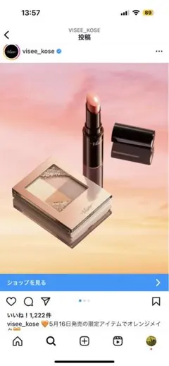 ヴィセ限定　アイシャドウ➕リップ