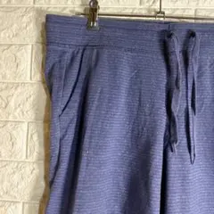 チャンピオン 裾リブ ボーダー スウェットパンツ M 青 綿ポリエステル