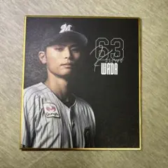 千葉ロッテマリーンズ 荻野貴司 2025シーズンビジュアル ミニ色紙